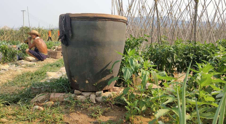 大爷打工帮儿子还债,农村大爷给儿子还贷款