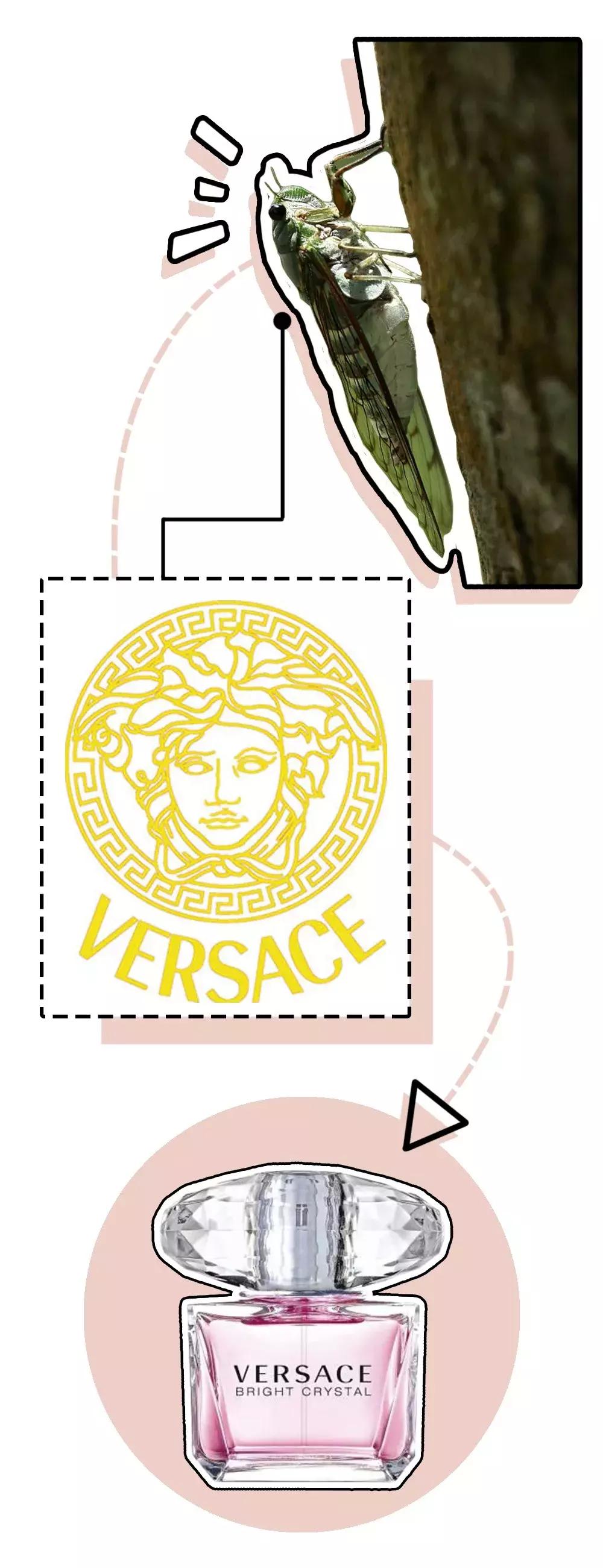 给男朋友发了一张图片,给男朋友发了一个图片