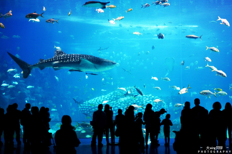 广东最宜居的城市惠州,广东惠州海滨城市