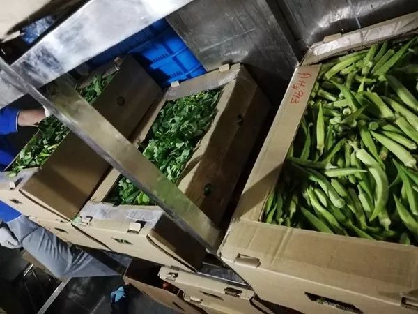 遇海盗咋办,淡水从哪来,风浪中如何定点作业……科考船这些冷知识你了解吗