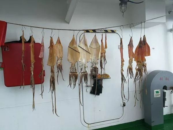 遇海盗咋办,淡水从哪来,风浪中如何定点作业……科考船这些冷知识你了解吗