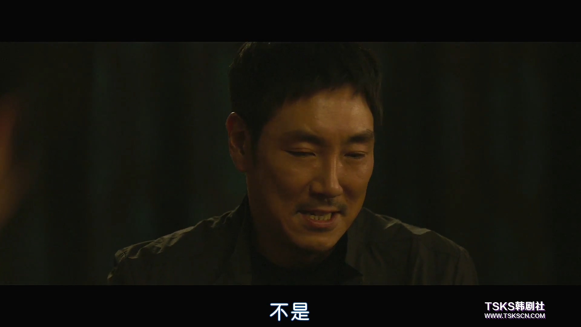 复仇与救赎免费阅读,复仇韩国电影催泪