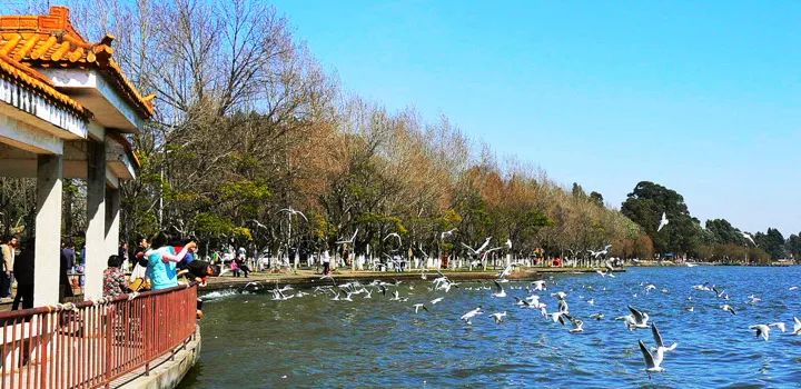 西安去昆明高铁票价,西安市至昆明市高铁票