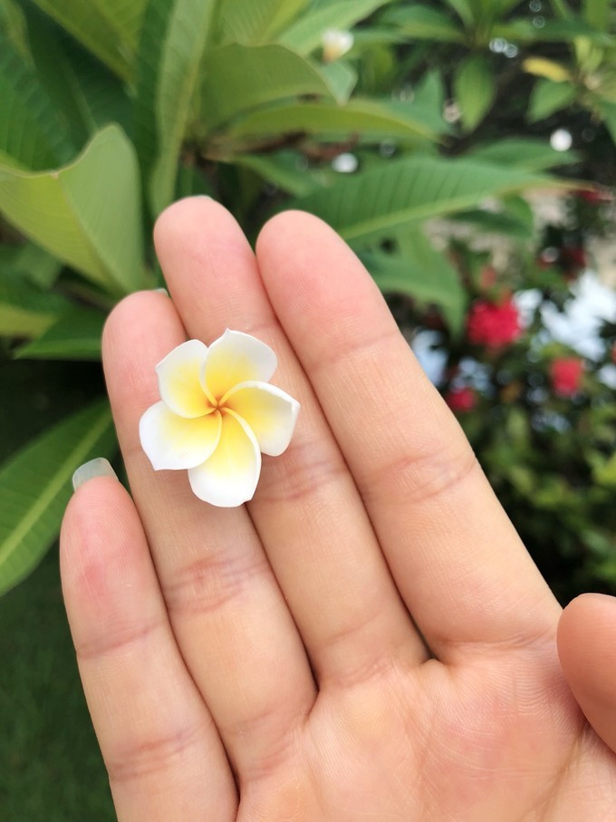 带你到三亚感受不一样的美食美景,三亚之行怎能错过这些美食和美景