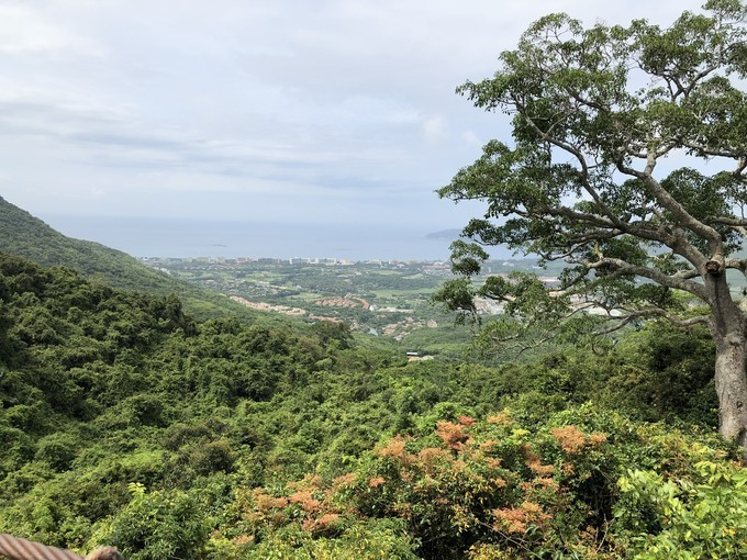 带你到三亚感受不一样的美食美景,三亚之行怎能错过这些美食和美景