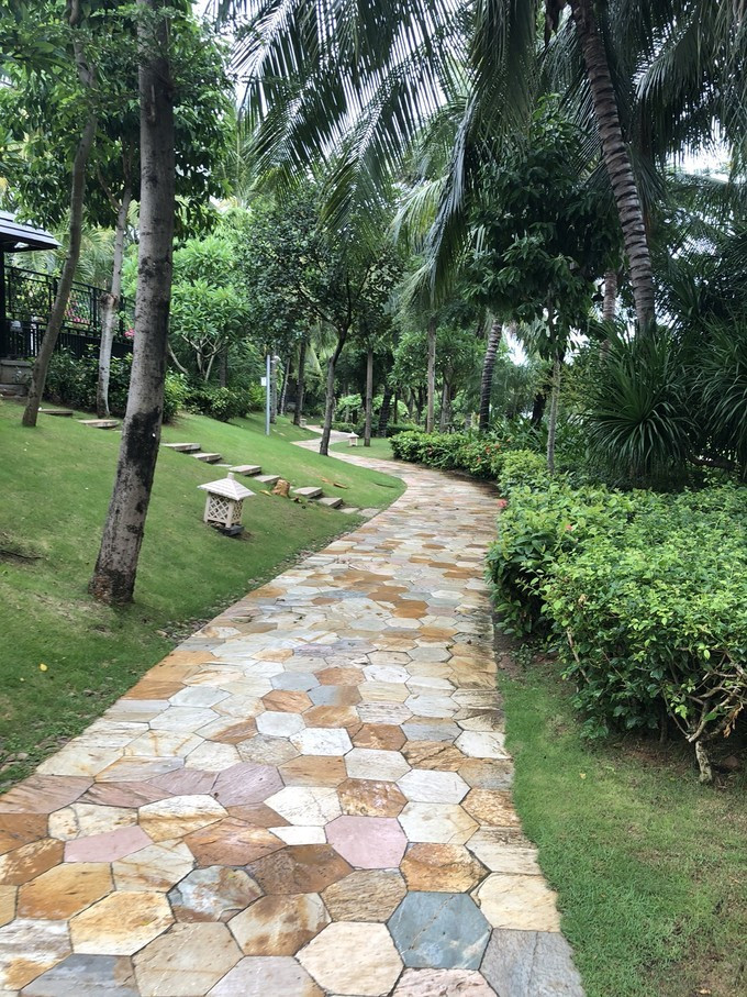 带你到三亚感受不一样的美食美景,三亚之行怎能错过这些美食和美景