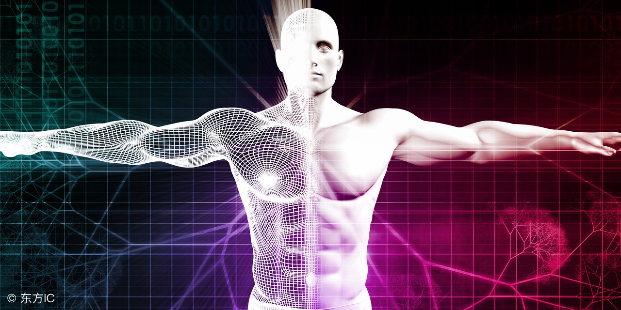 9种体质养生知识有哪些,体质养生9种体质的辨认