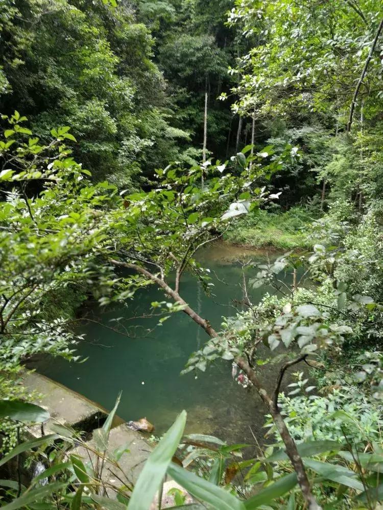 悠悠古道忆乡愁,悠悠古道