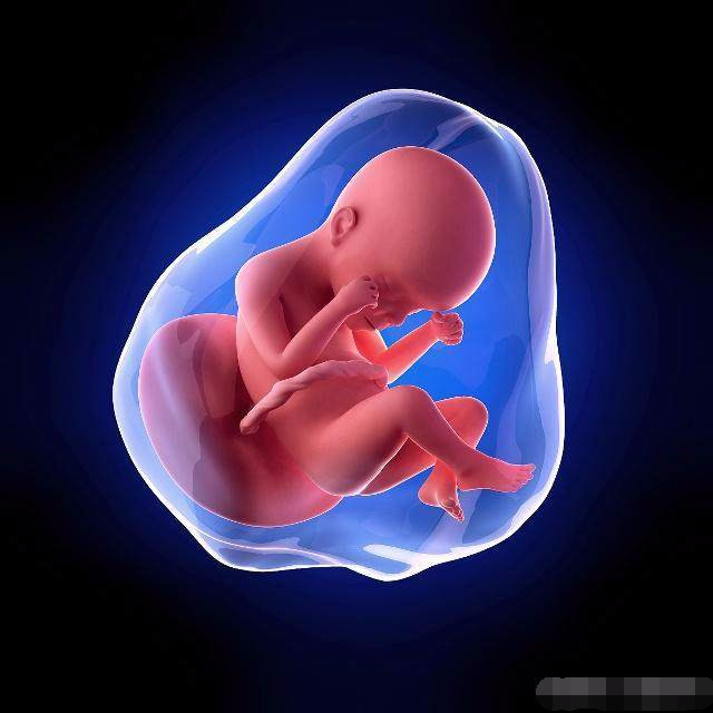 女性怀孕了老公应该做什么,老婆怀孕之后老公该做些什么