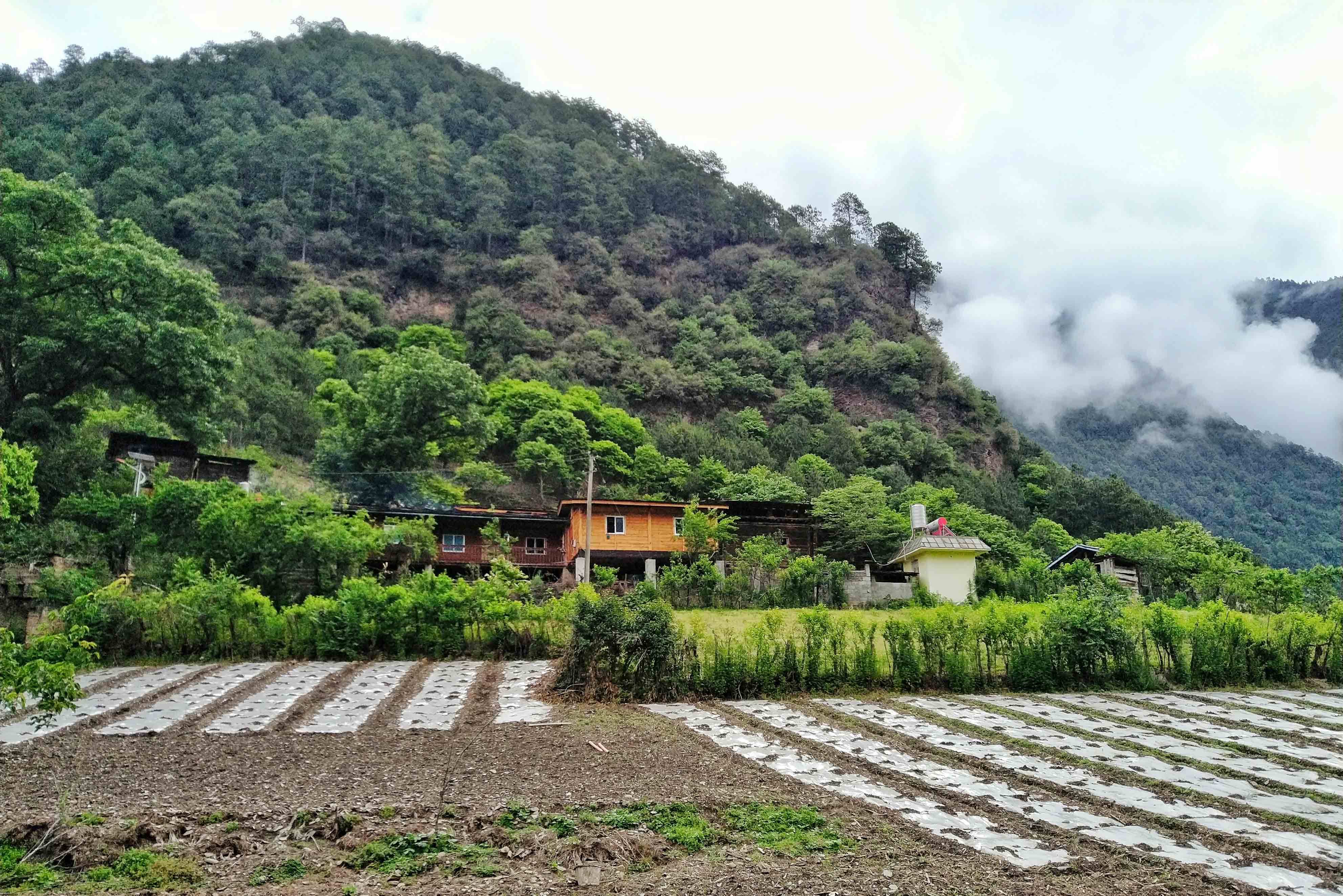 强迫症患者要花多少钱,强迫症治疗大概需要多少钱