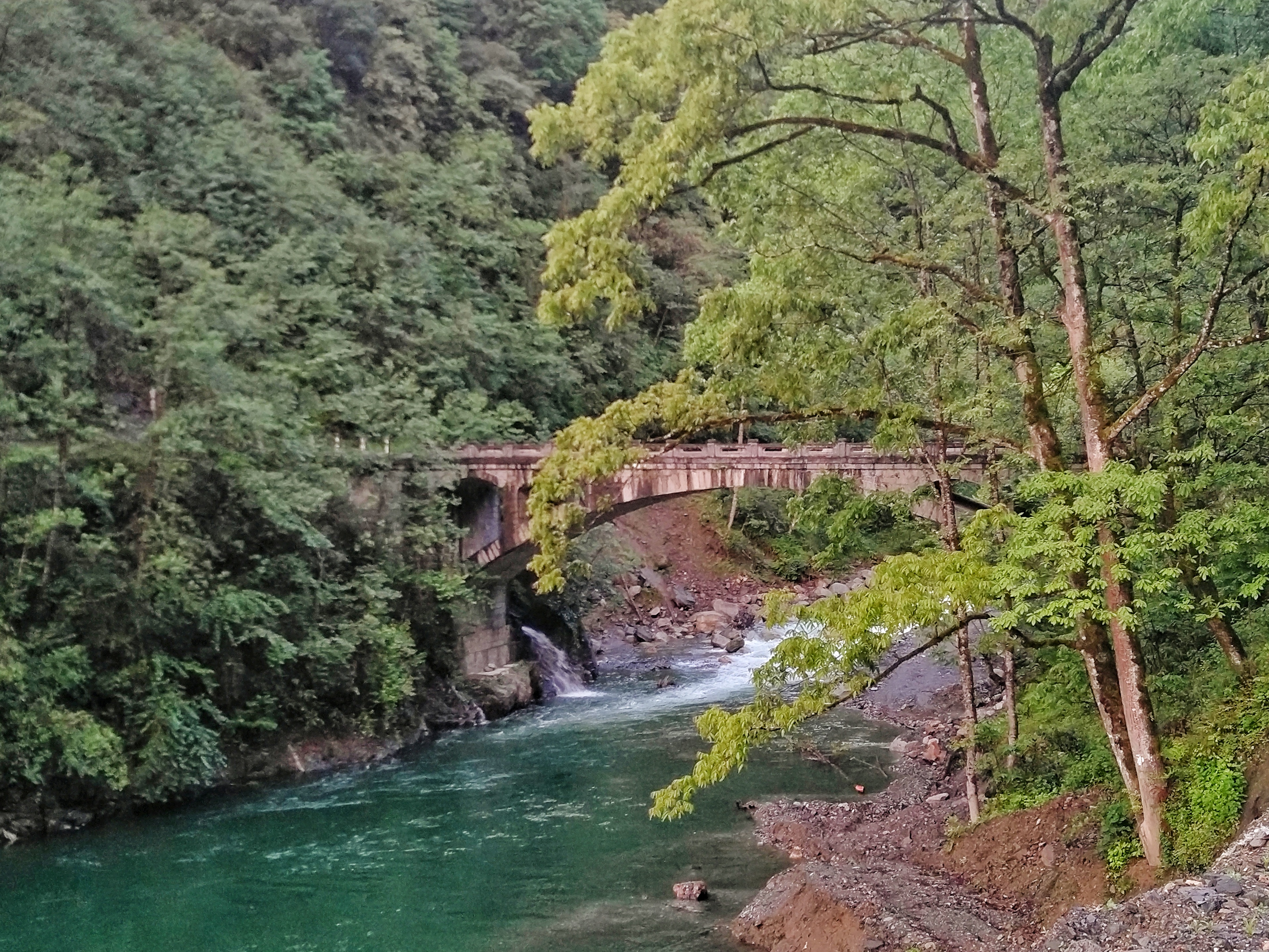 强迫症患者要花多少钱,强迫症治疗大概需要多少钱