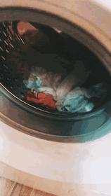 小户型家电推荐购买清单,小户型智能家电价格