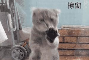 小户型家电推荐购买清单,小户型智能家电价格