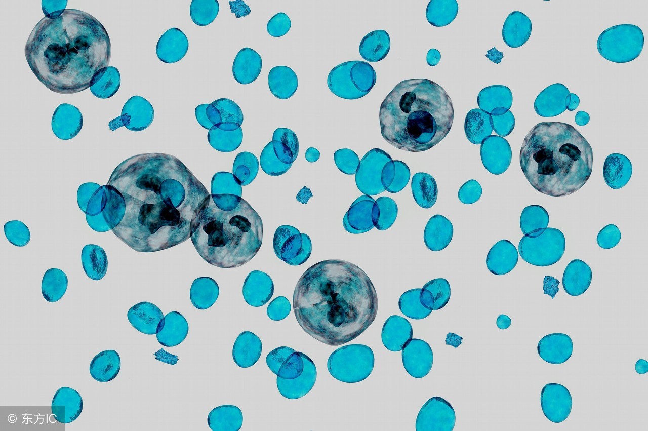 硬科技创业孵化研究书籍,硬科技创业难度