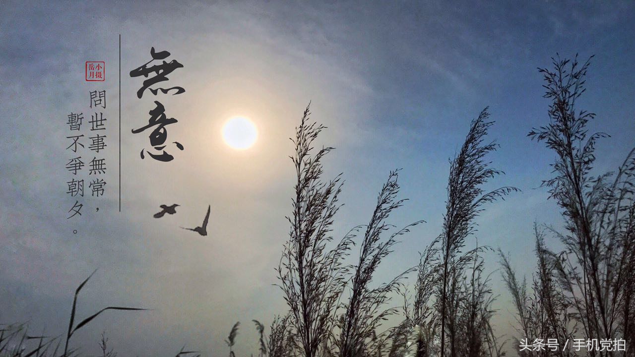 如何把图片制作成印章,手机拍照制作电子版印章