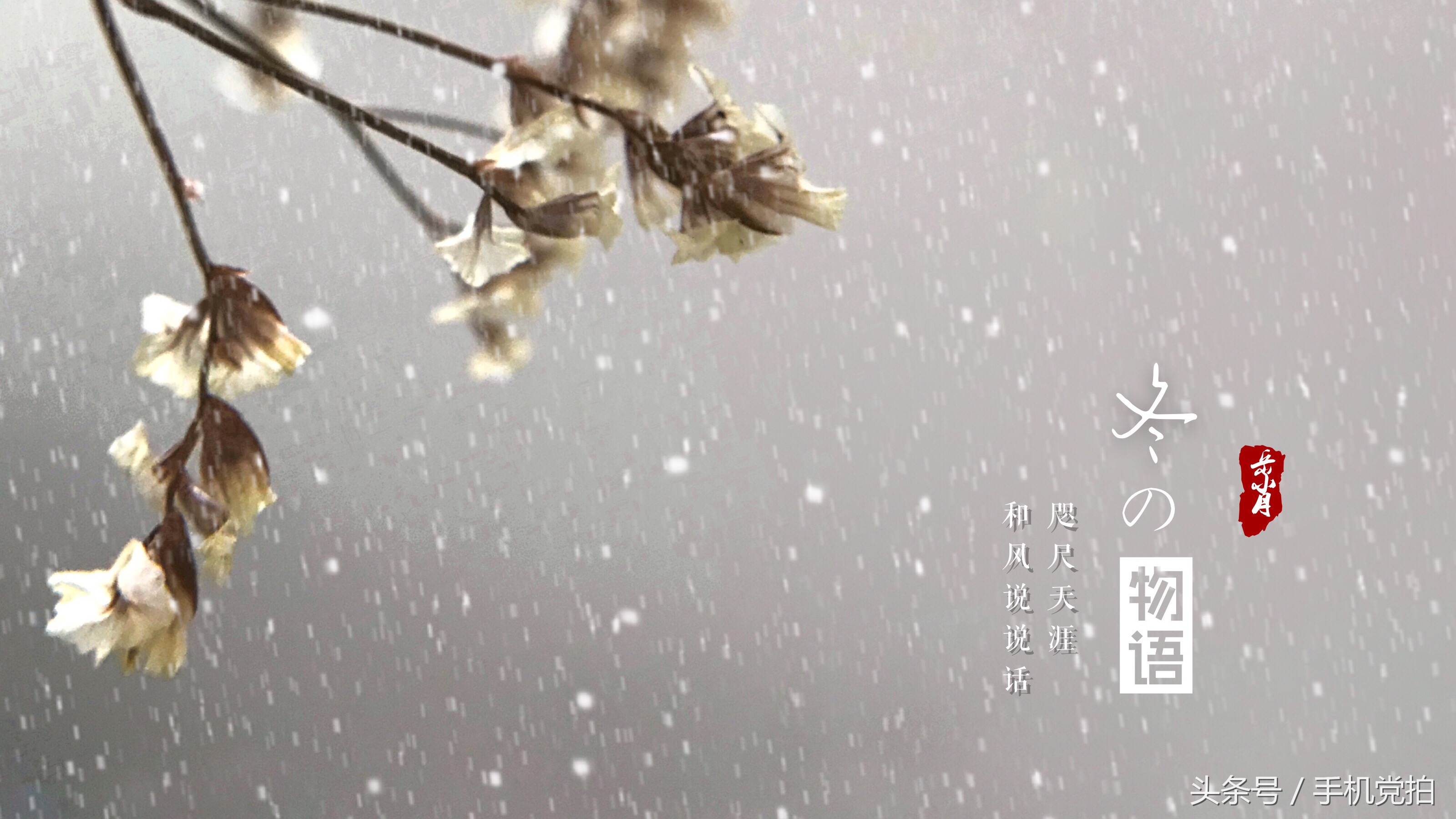 如何把图片制作成印章,手机拍照制作电子版印章