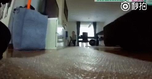 越玩越聪明的101个亲子游戏,孩子越玩越聪明的50个游戏