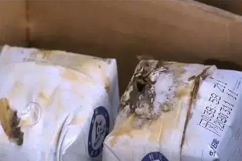 孩子吃了变质酸奶拉肚子发烧,小孩喝了酸奶后胃疼