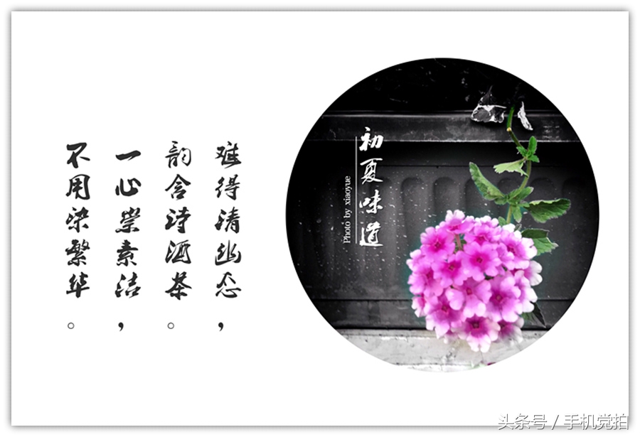 如何把图片制作成印章,手机拍照制作电子版印章