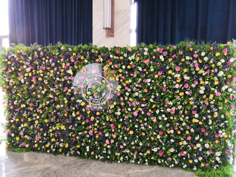 春舞枝携手超级置换打造「HME·花秘」共享花园