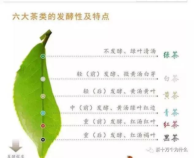 茶叶的分类的六大基本茶类有哪些,六大茶类各个茶的特点