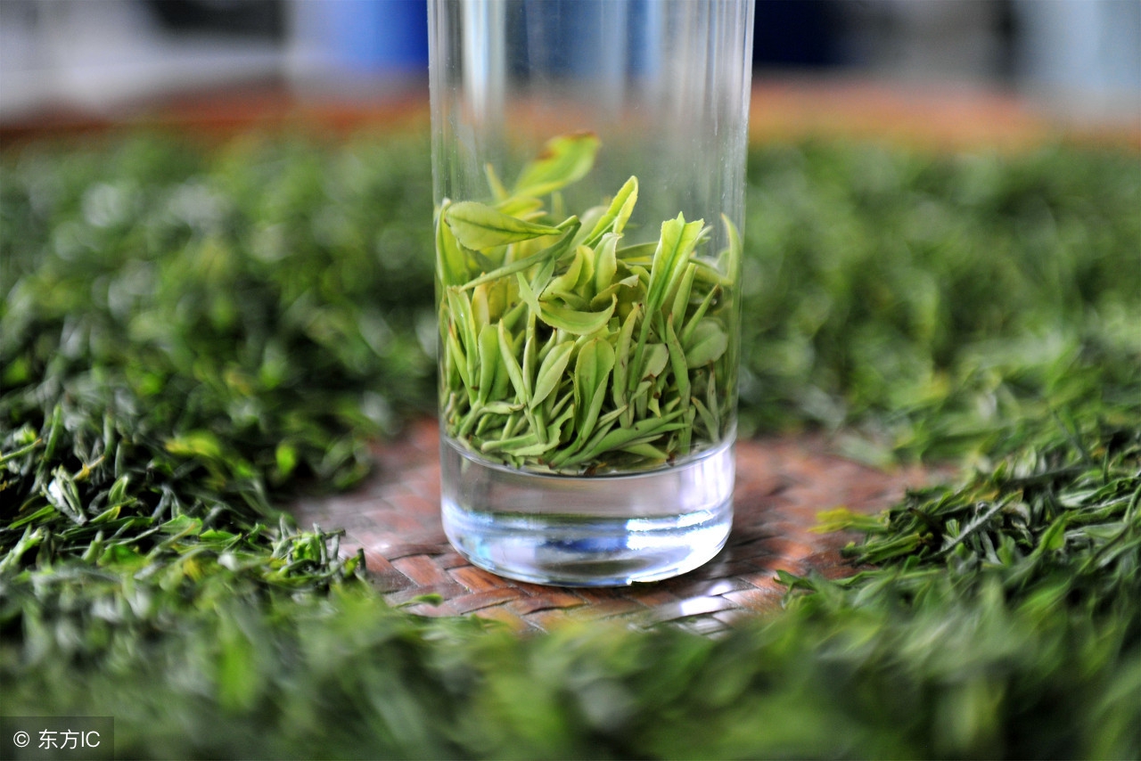 茶叶的分类的六大基本茶类有哪些,六大茶类各个茶的特点