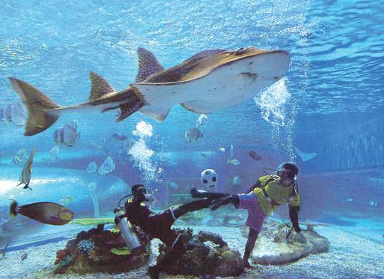 很好看的足球比赛视频,有什么比较好看的足球比赛