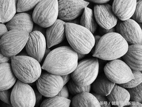 李子和牛肉一起吃有危害吗,李子和什么一起吃会引起过敏