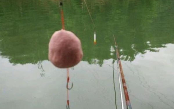 鲢鳙鱼最佳钓法,鲢鳙鱼怎么钓最好