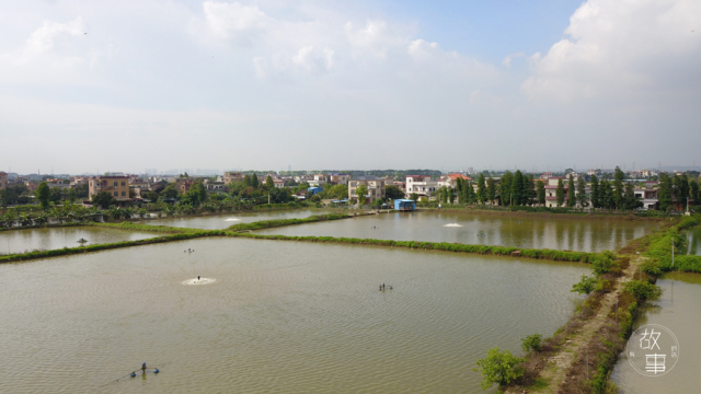 日式吃生鱼片是什么感受,日本料理中常见的生鱼片有哪些