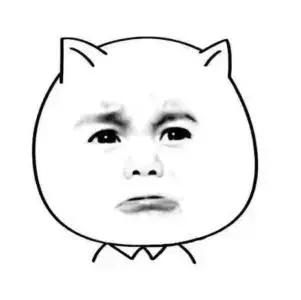 海关水客人脸识别,海关人脸识别技术