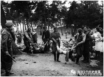 安妮日记的二战背景,二战中的安妮的纪实