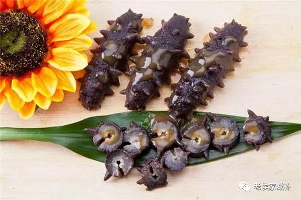 海参原产地视频素材,哪里产地的海参最好