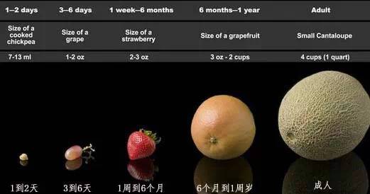 宝宝不爱喝水怎么办有妙招吗,宝宝不爱喝水一招搞定