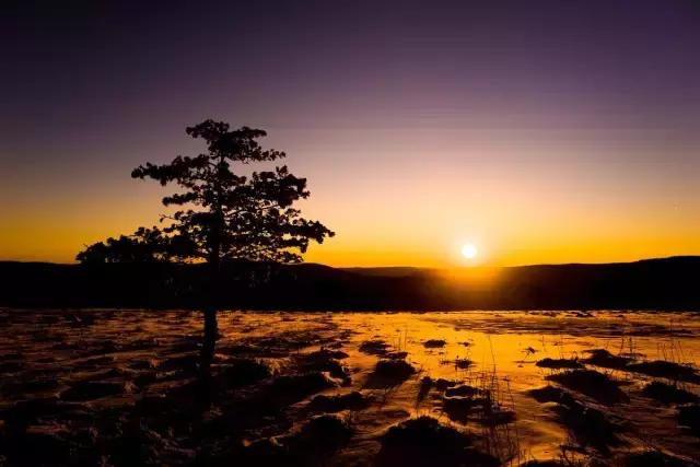 龙江盛夏避暑图片,黑龙江最美十大避暑胜地