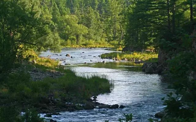龙江盛夏避暑图片,黑龙江最美十大避暑胜地