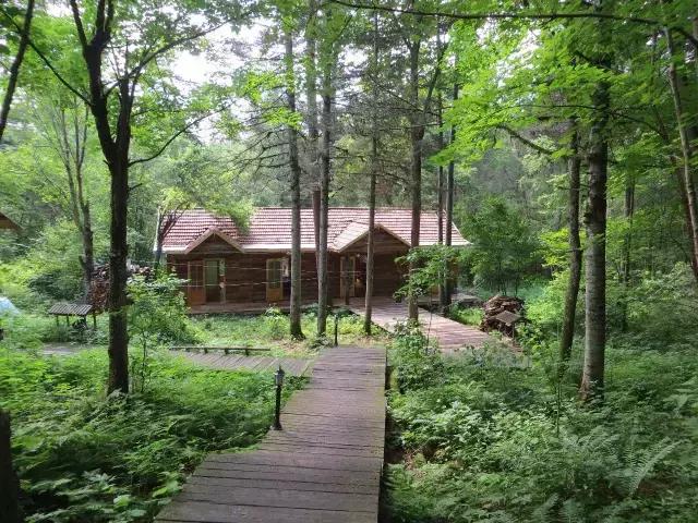 龙江盛夏避暑图片,黑龙江最美十大避暑胜地