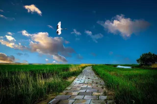 龙江盛夏避暑图片,黑龙江最美十大避暑胜地