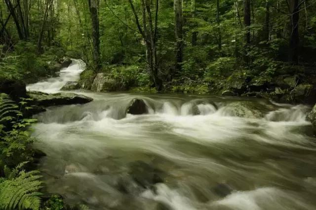 龙江盛夏避暑图片,黑龙江最美十大避暑胜地