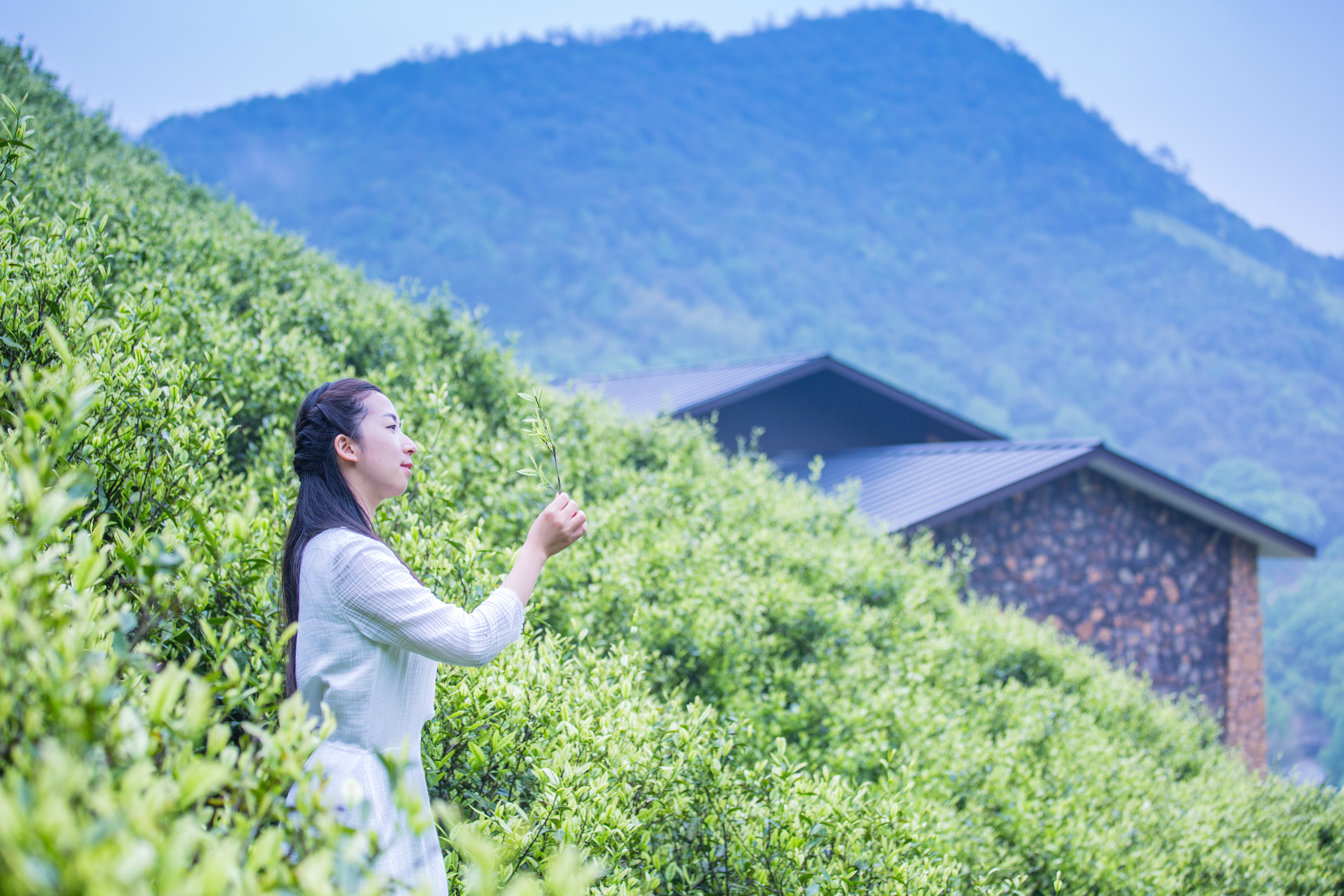 莫干山郡安里君澜度假酒店交通,莫干山郡安里君澜度假区二期酒店