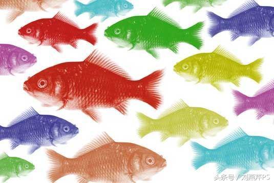 photoshop必会基础知识,100条photoshop使用技巧