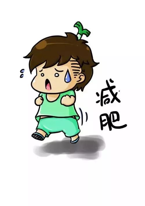 健康减肥之路,最全健康减肥知识