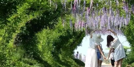 玉林暑假旅游攻略,玉林风景区一日游攻略