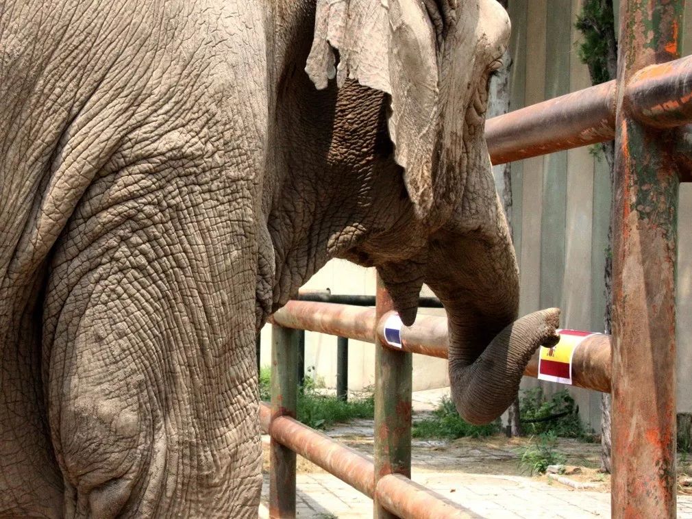 棰勮█甯濈殑涓嬪満鐭ヤ箮,棰勮█甯濅箤楦﹀槾
