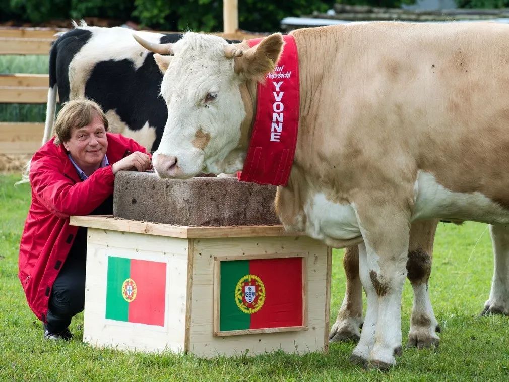棰勮█甯濈殑涓嬪満鐭ヤ箮,棰勮█甯濅箤楦﹀槾