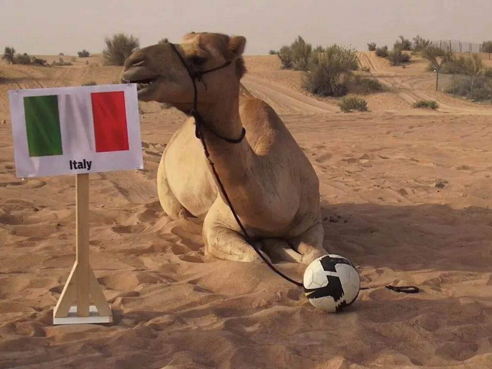 棰勮█甯濈殑涓嬪満鐭ヤ箮,棰勮█甯濅箤楦﹀槾