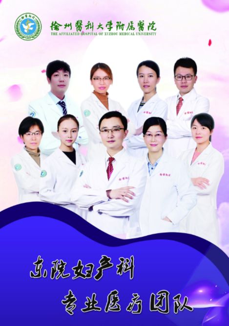 东院妇产科“第八届淮海经济区妇科肿瘤腔镜治疗研讨班”举办