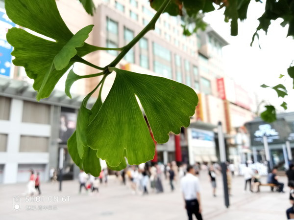 魅蓝发布会全面屏手机,魅蓝旗舰全面屏手机