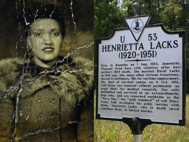 无限细胞分裂,无限分裂海拉细胞