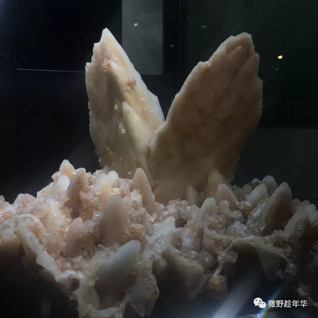 矿物精品展｜地壳深处的彩虹与少女心